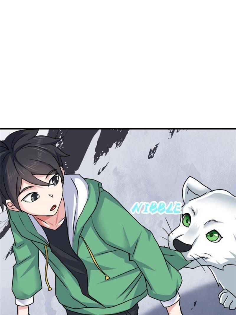 Dragon King’s Son-in-Law Chapter 65 - Page 13