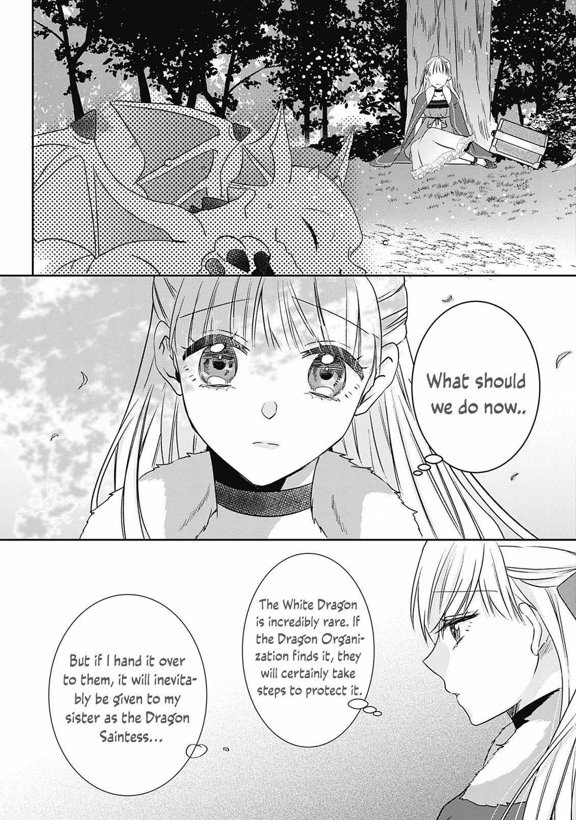 Dragon Priestess in the Birdcage Chapter 6 - Page 19