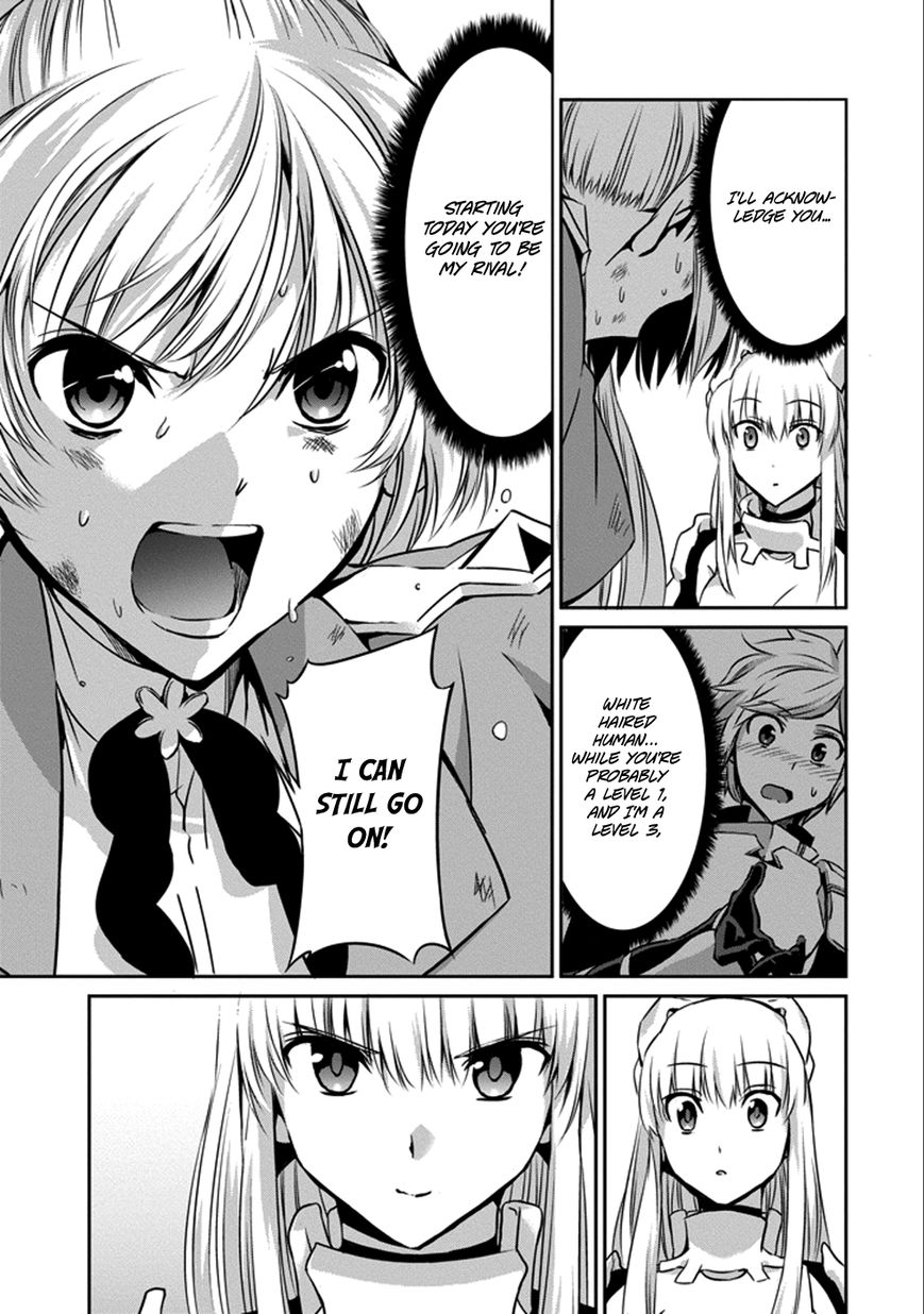Dungeon ni Deai o Motomeru no wa Machigatte iru darou ka Gaiden – Sword Oratoria Chapter 30 - Page 49