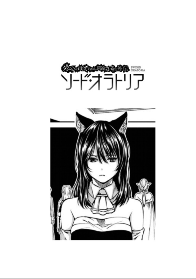 Dungeon ni Deai o Motomeru no wa Machigatte iru darou ka Gaiden – Sword Oratoria Chapter 63 - Page 41