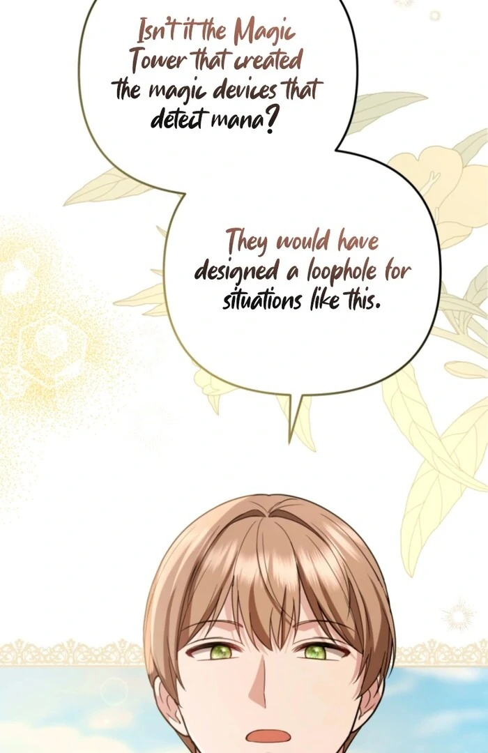 Even If I Hide My Power, the Noble Lady Is the Strongest Chapter 19 - Page 24