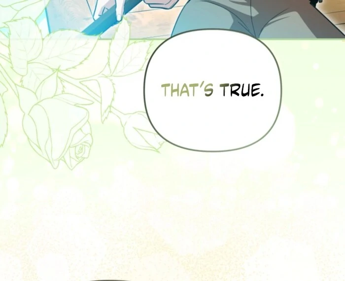 Even If I Hide My Power, the Noble Lady Is the Strongest Chapter 20 - Page 29