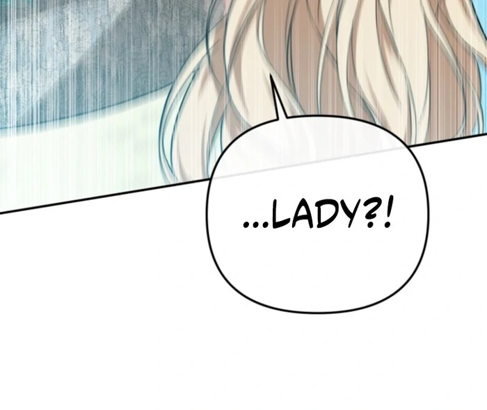 Even If I Hide My Power, the Noble Lady Is the Strongest Chapter 20 - Page 67