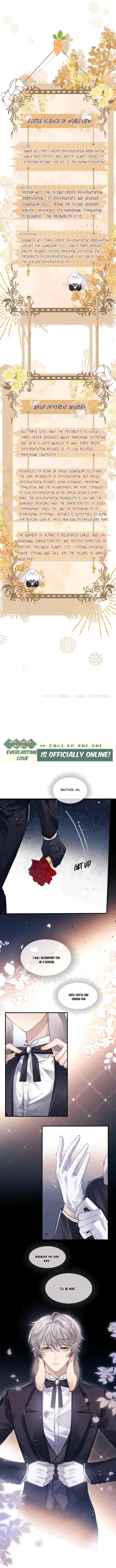 Everlasting Love Chapter 1 - Page 5