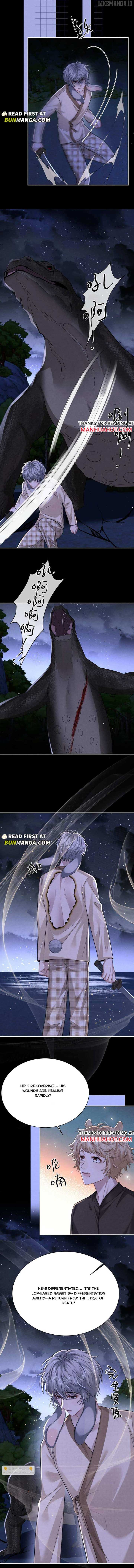 Everlasting Love Chapter 175 - Page 5