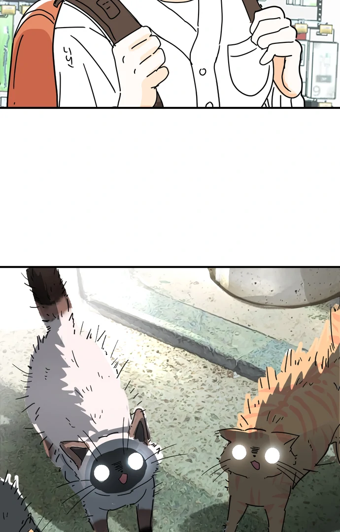 Everyone Hates Me Chapter 2 - Page 72