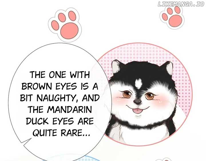 Everyone’s Darling Chapter 149 - Page 45