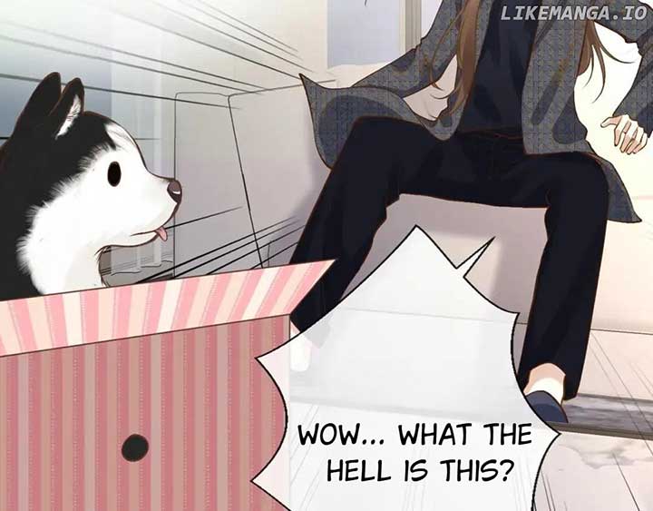 Everyone’s Darling Chapter 149 - Page 88