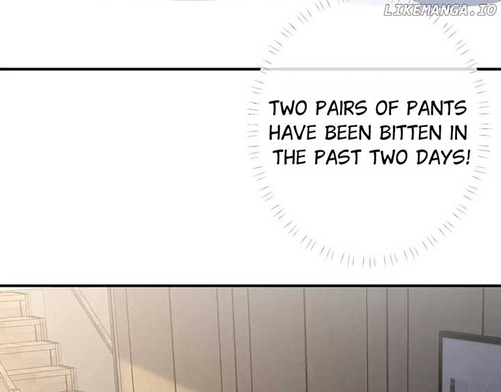 Everyone’s Darling Chapter 150 - Page 26