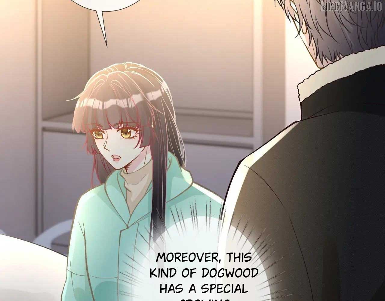 Everyone’s Darling Chapter 259 - Page 27