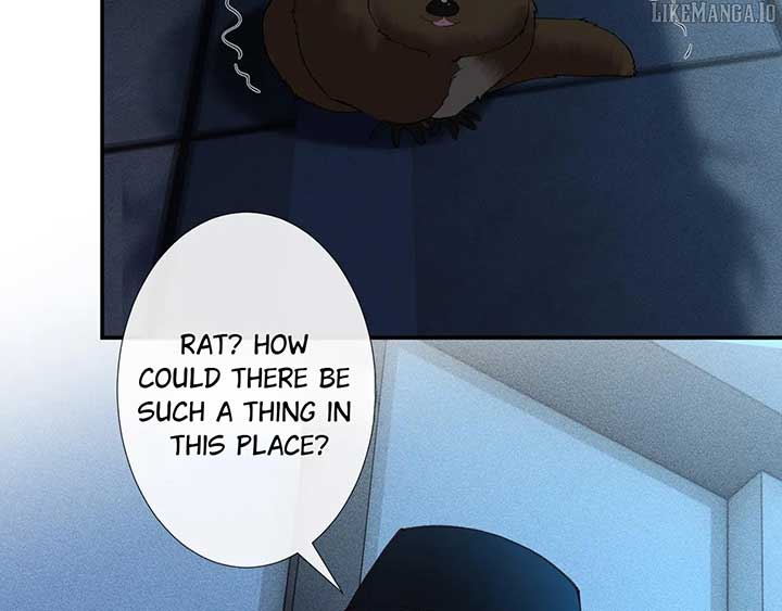 Everyone’s Darling Chapter 346 - Page 24
