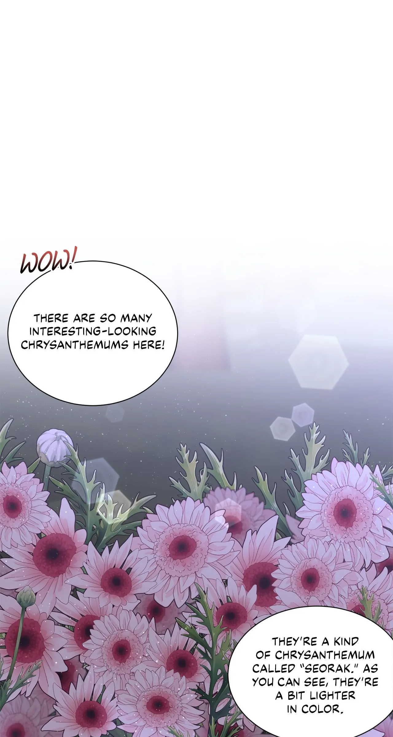 Fake Wife Chapter 27 - Page 1