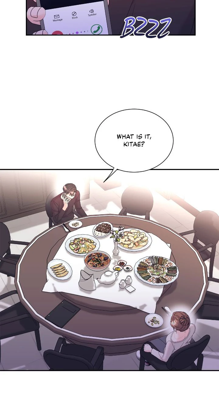 Fake Wife Chapter 39 - Page 47