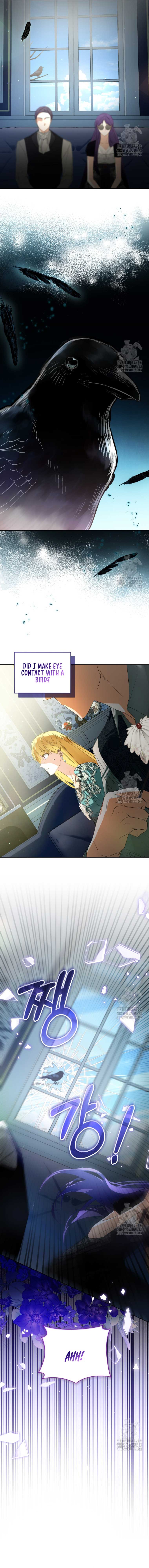 Fell Into the Arms of a Mad Villain Chapter 39 - Page 14