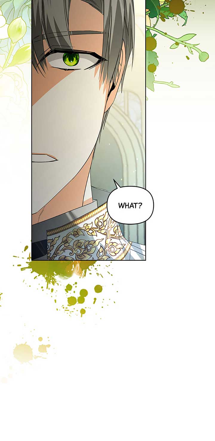 Fell Into the Arms of a Mad Villain Chapter 43 - Page 67