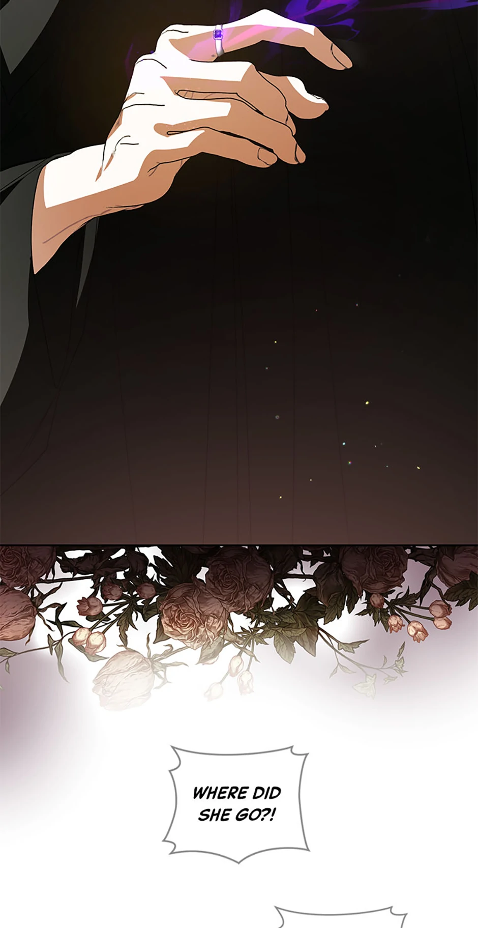 Fell Into the Arms of a Mad Villain Chapter 47 - Page 47