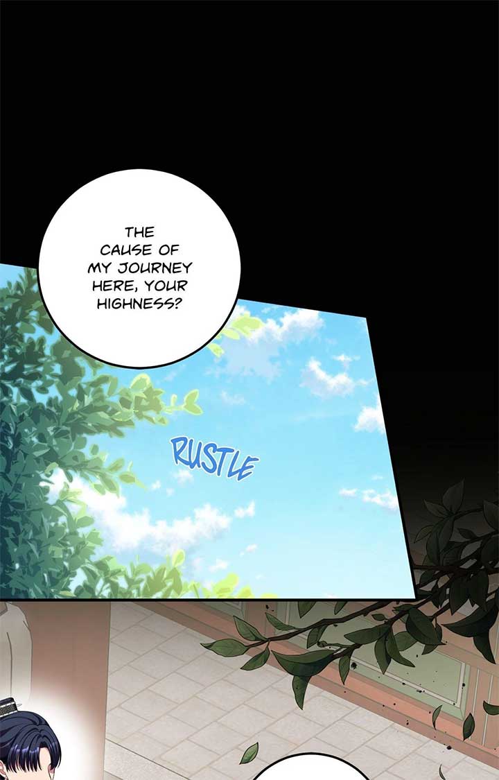 Flowers Are Flowers, Leaves Are Leaves Chapter 100 - Page 0