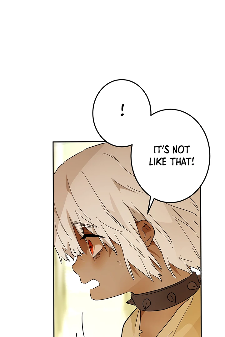 From Six to Sovereignty: The Girl Who Ruled Chapter 42 - Page 18