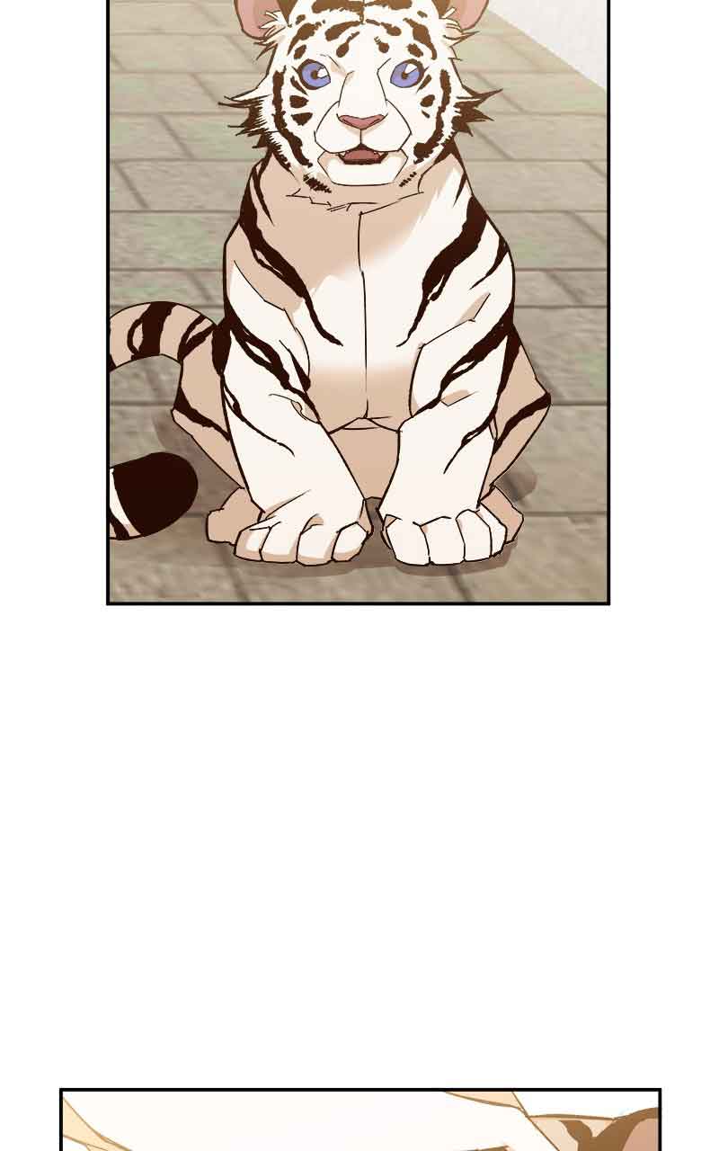 Goddess’s Way of Attacking Tigers Chapter 1 - Page 31