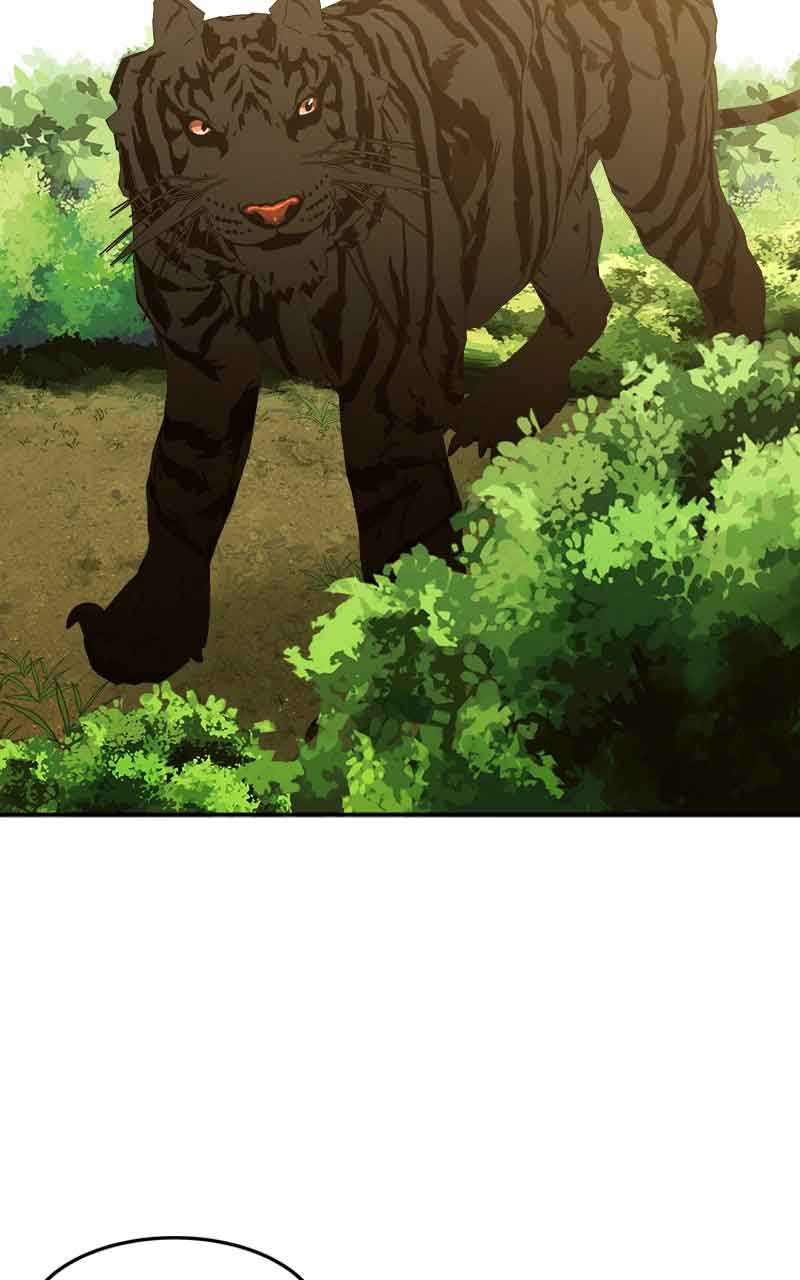 Goddess’s Way of Attacking Tigers Chapter 2 - Page 228