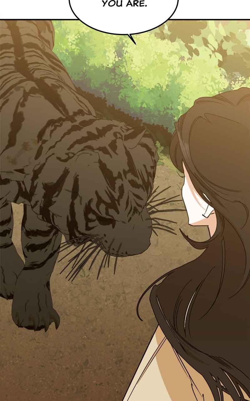 Goddess’s Way of Attacking Tigers Chapter 2 - Page 232