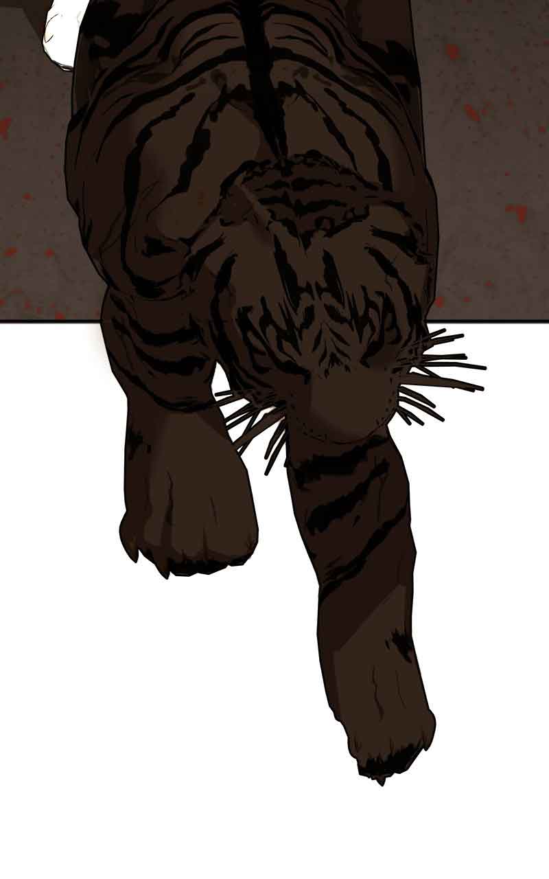 Goddess’s Way of Attacking Tigers Chapter 2 - Page 29