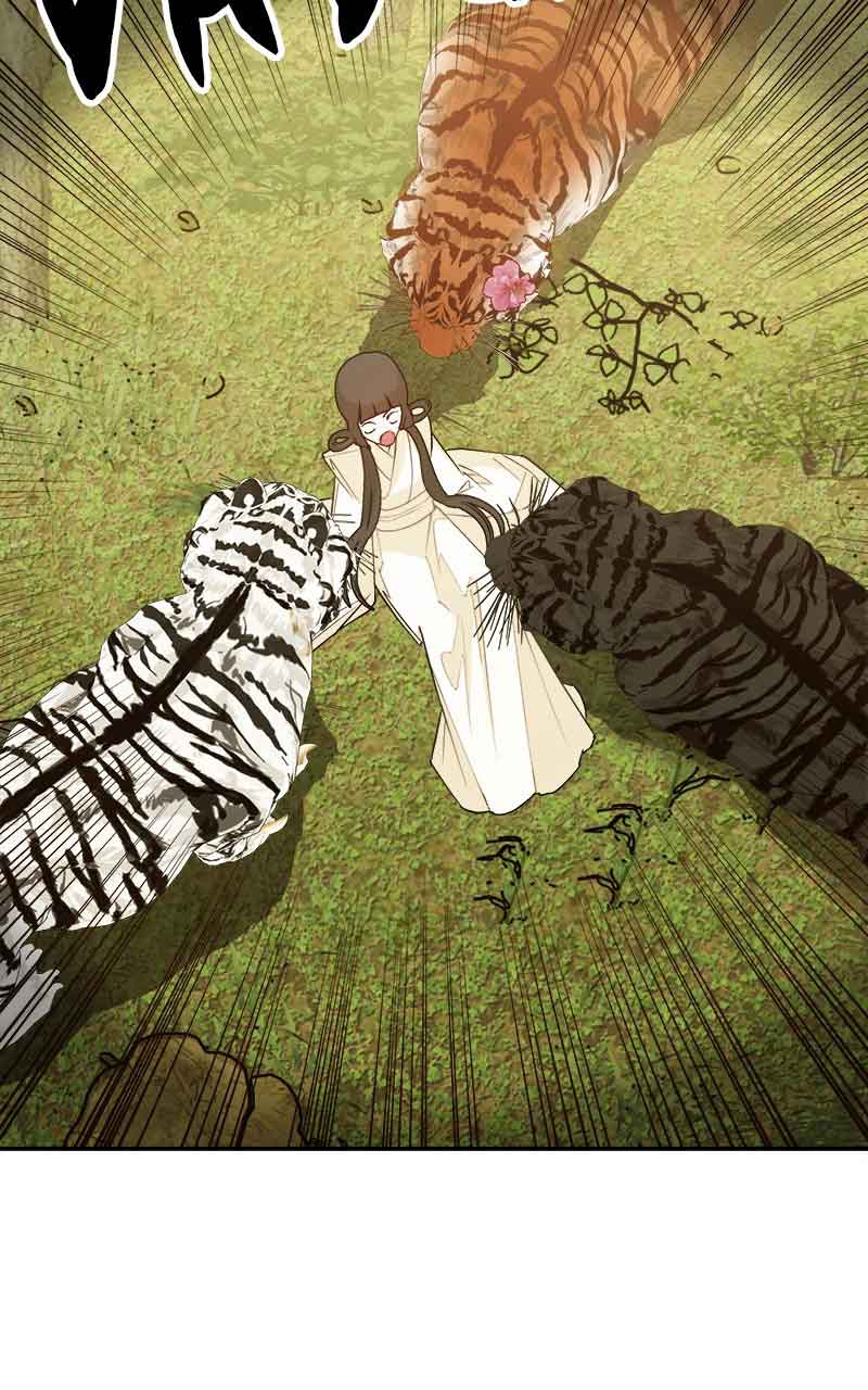 Goddess’s Way of Attacking Tigers Chapter 3 - Page 24