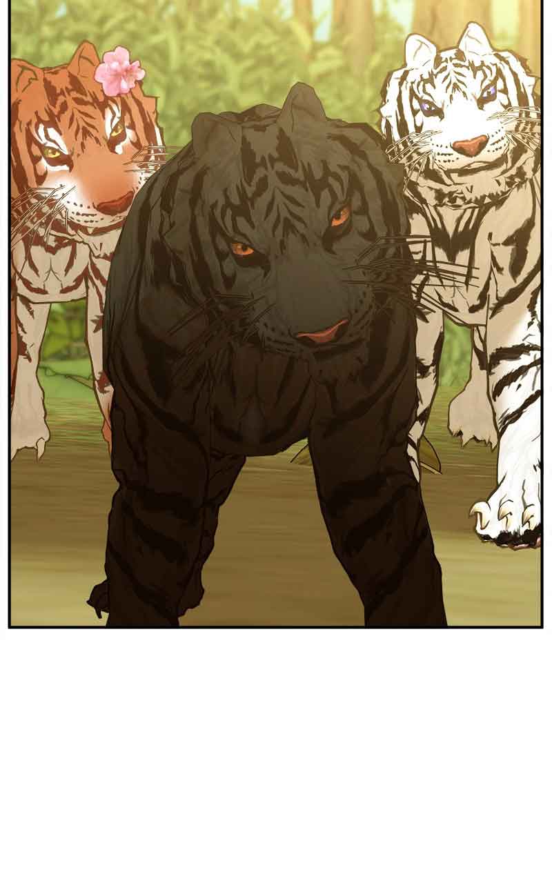 Goddess’s Way of Attacking Tigers Chapter 3 - Page 48