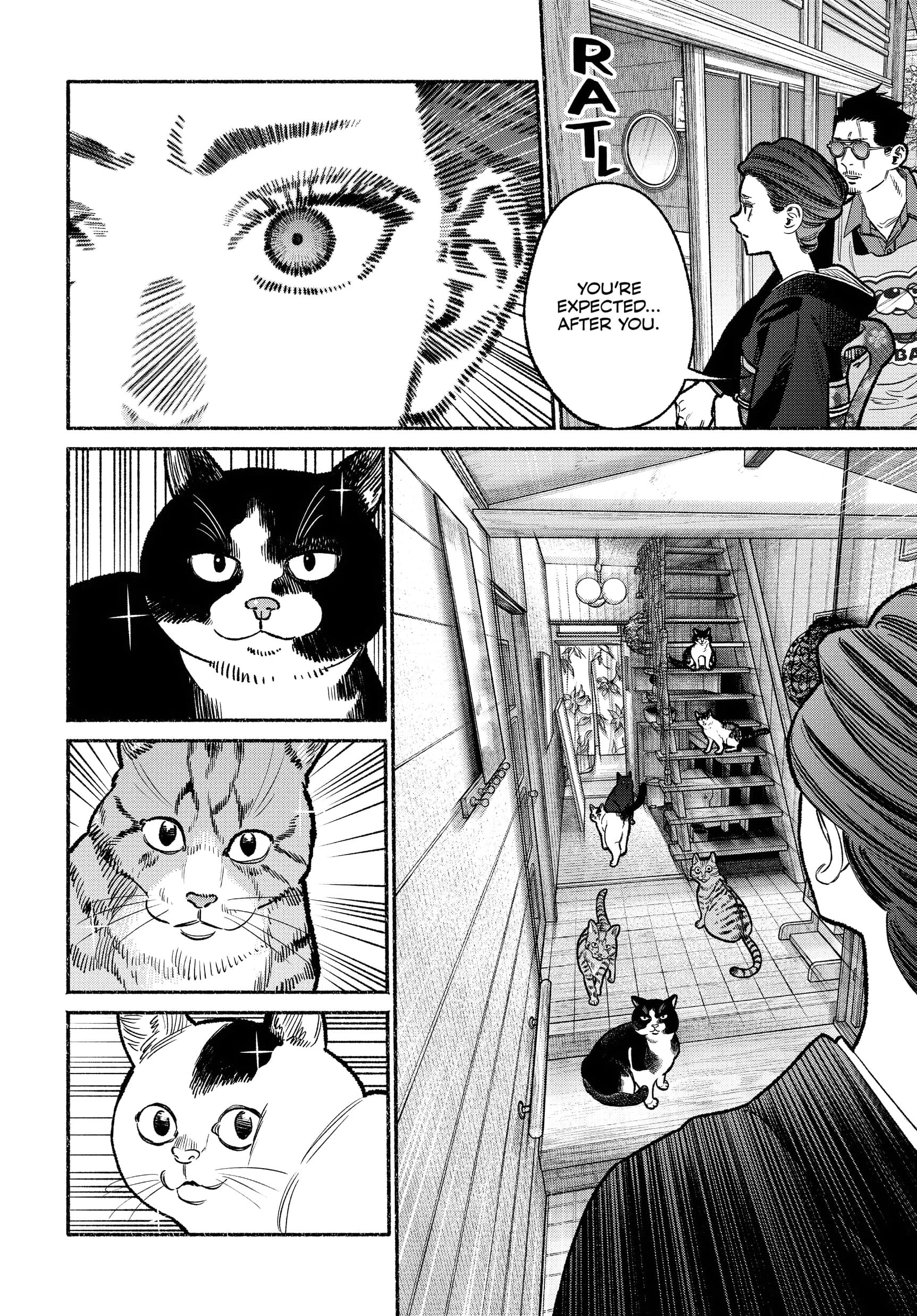 Gokushufudou: The Way of the House Husband Chapter 118 - Page 5
