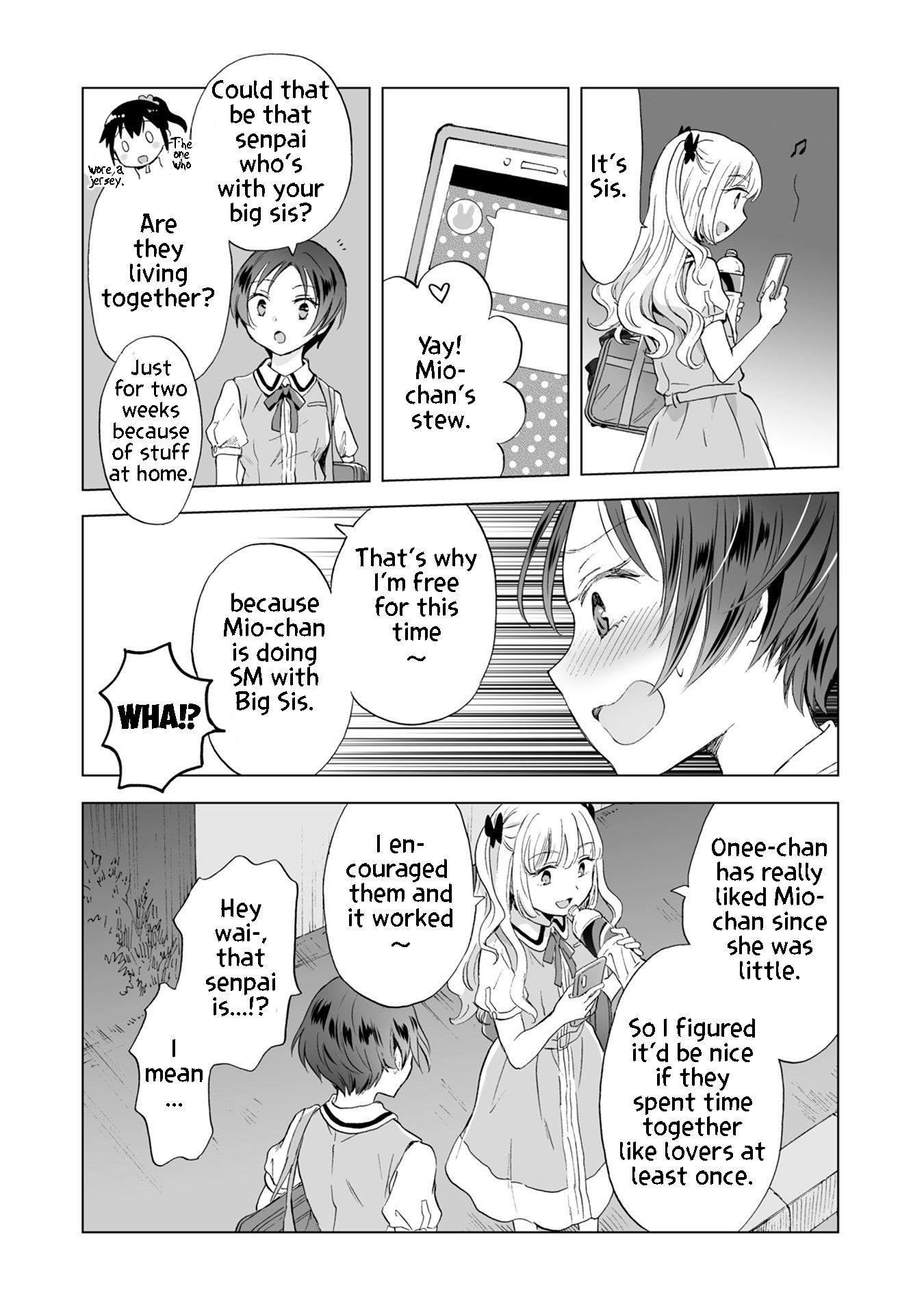 Hearts of Two Girls Will Be Connect, Only by Their Painful Acts Chapter 10 - Page 15