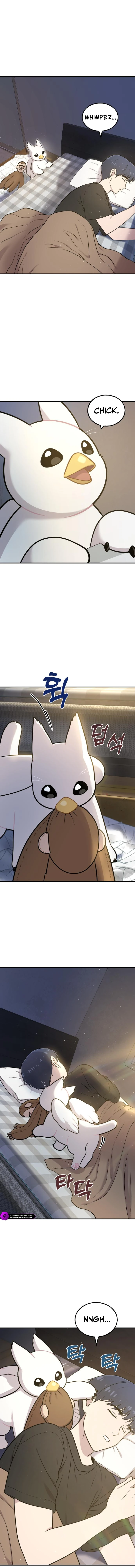 Hello, Griffin the Fluffy Bird! Chapter 8 - Page 1
