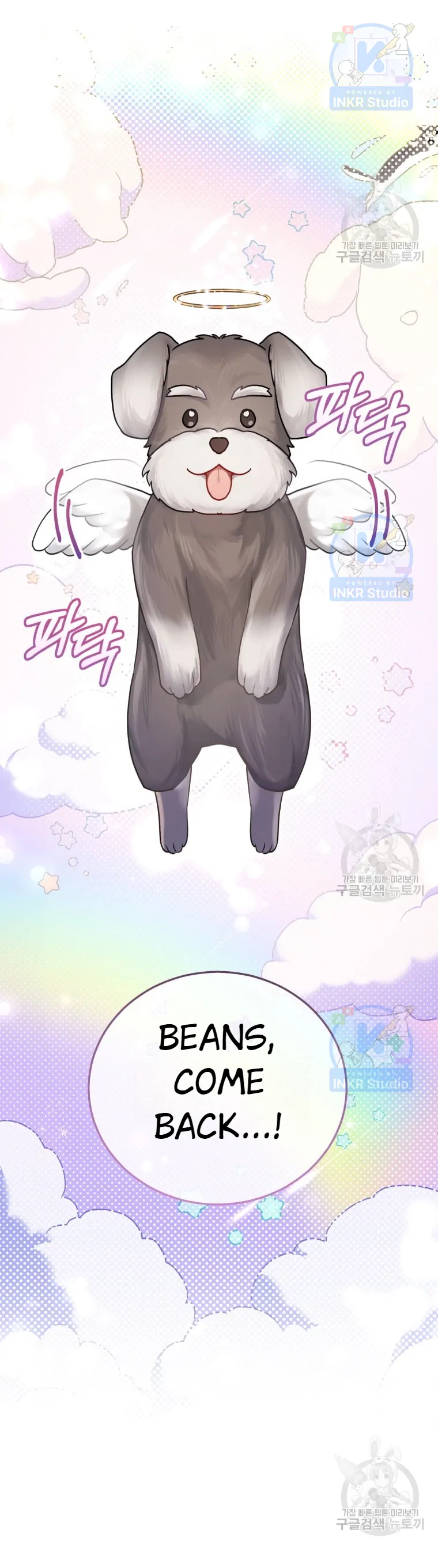 Hello! Veterinarian! Chapter 1 - Page 6
