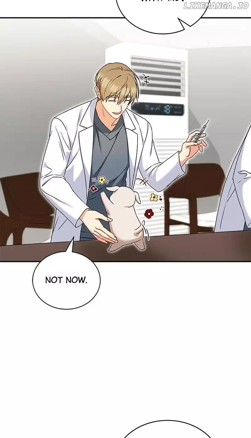 Hello! Veterinarian! Chapter 16 - Page 47