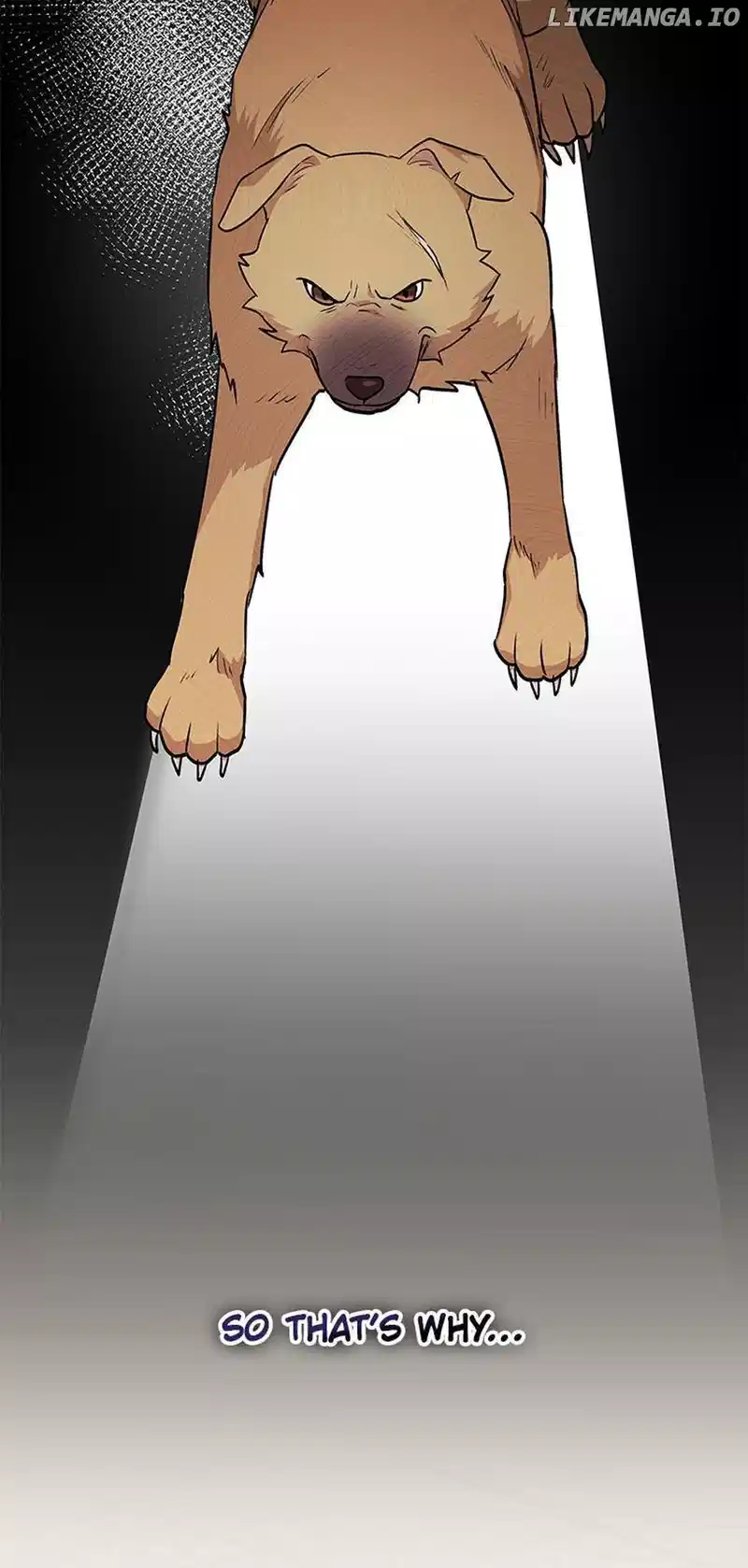 Hello! Veterinarian! Chapter 17 - Page 10