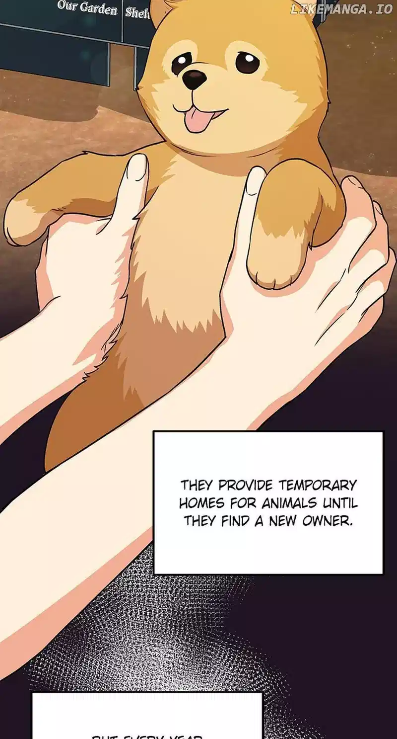 Hello! Veterinarian! Chapter 17 - Page 33