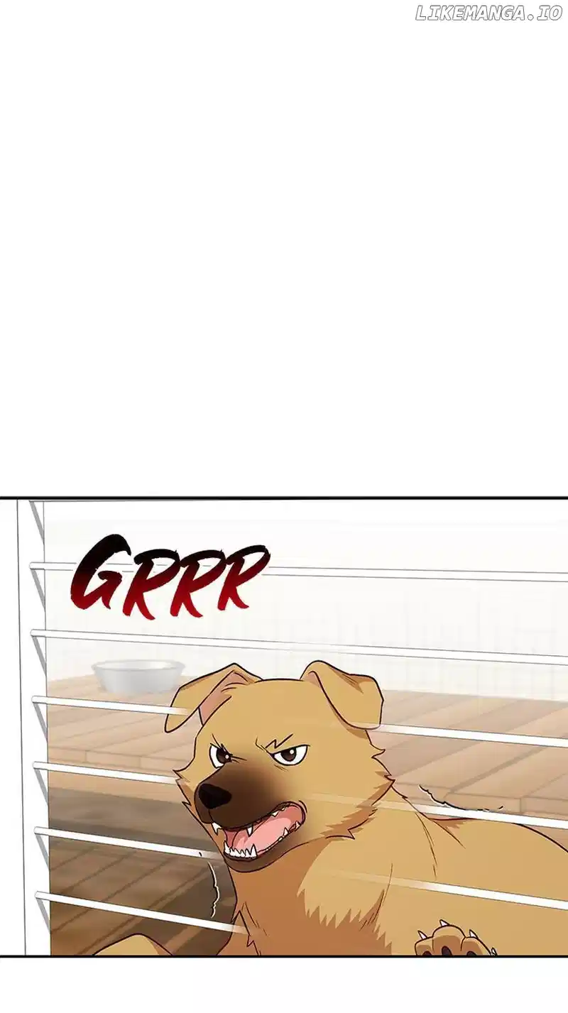 Hello! Veterinarian! Chapter 19 - Page 1