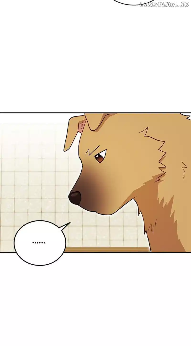Hello! Veterinarian! Chapter 19 - Page 29
