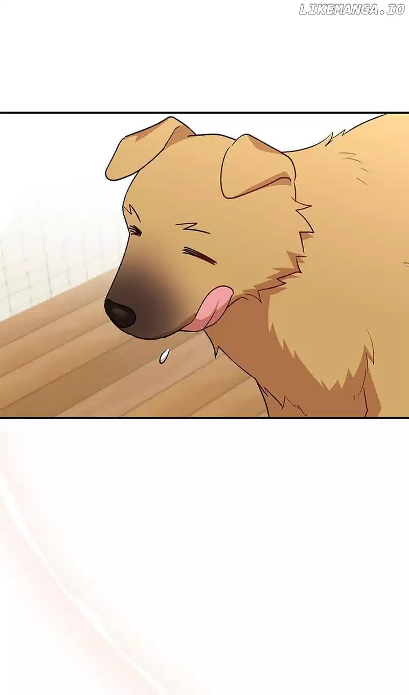 Hello! Veterinarian! Chapter 19 - Page 38