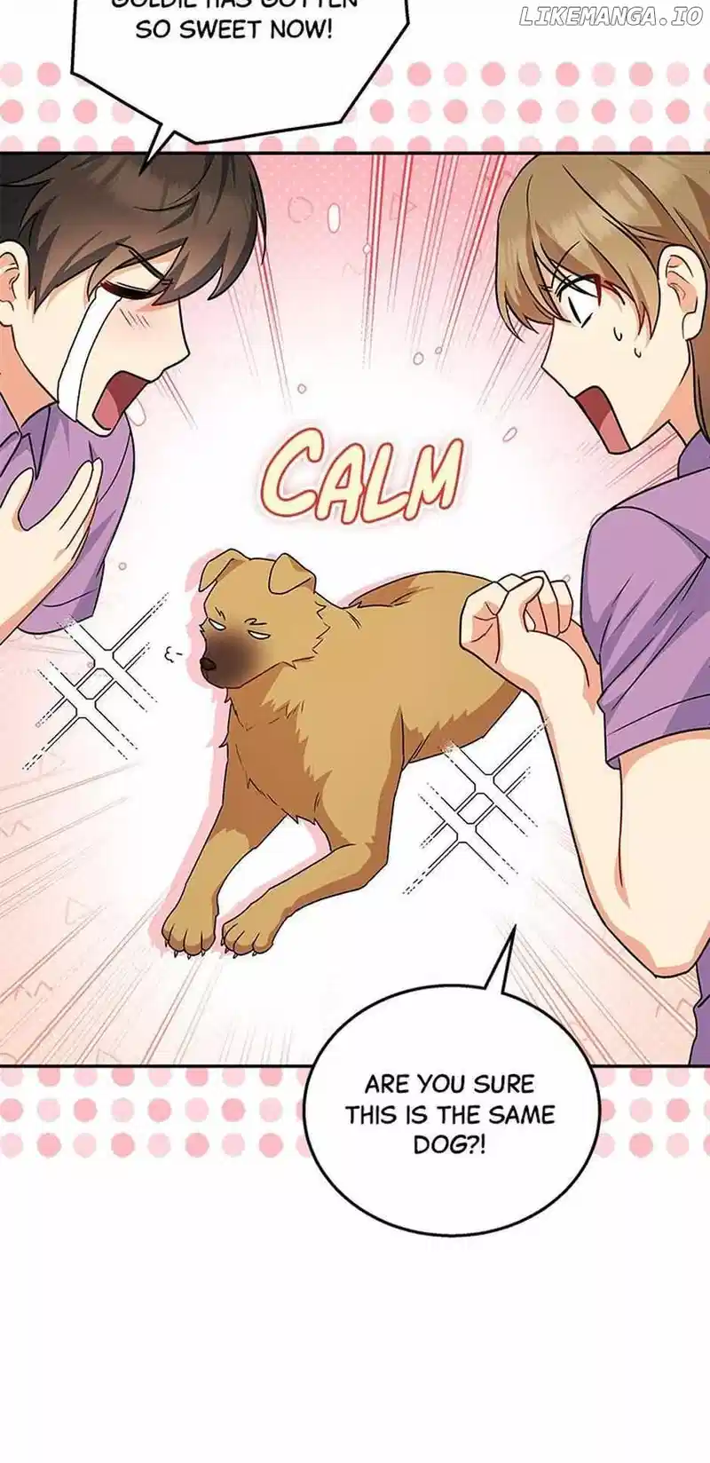 Hello! Veterinarian! Chapter 19 - Page 44