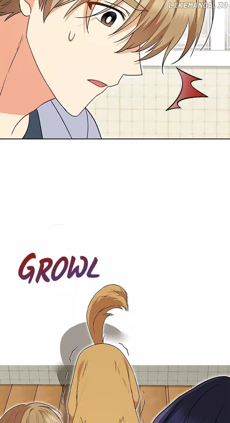 Hello! Veterinarian! Chapter 20 - Page 37