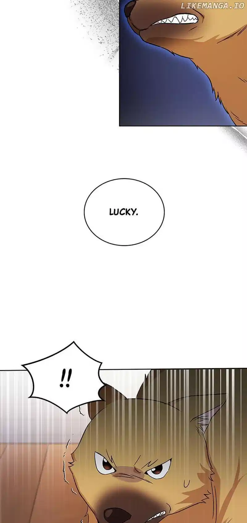 Hello! Veterinarian! Chapter 20 - Page 42