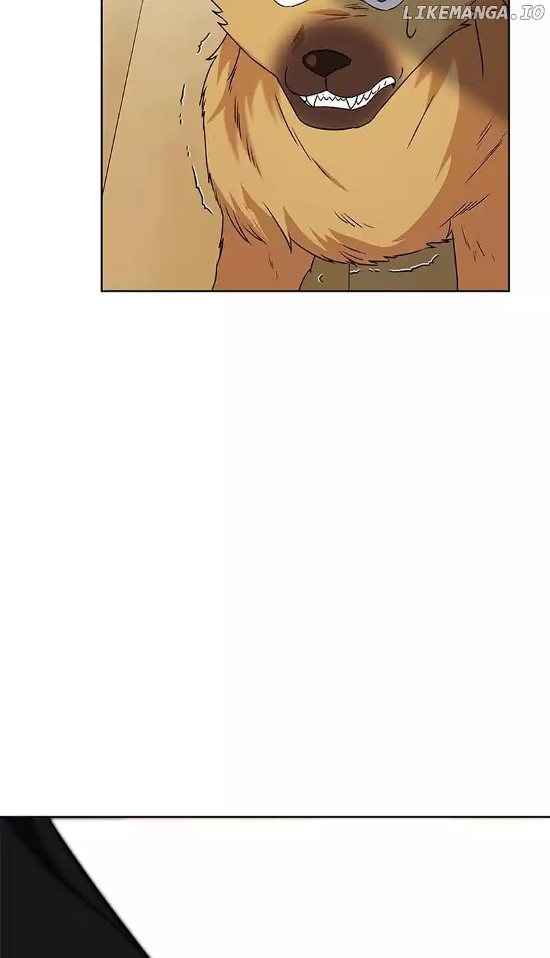 Hello! Veterinarian! Chapter 20 - Page 46