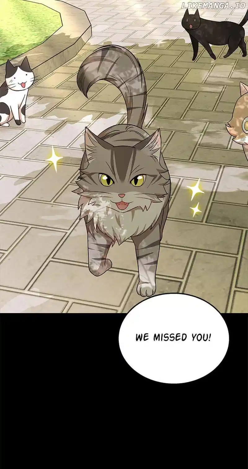 Hello! Veterinarian! Chapter 21 - Page 25