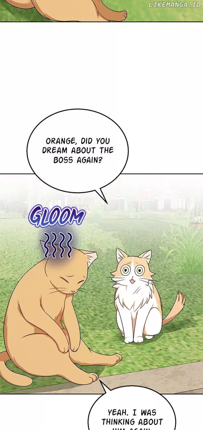 Hello! Veterinarian! Chapter 21 - Page 31