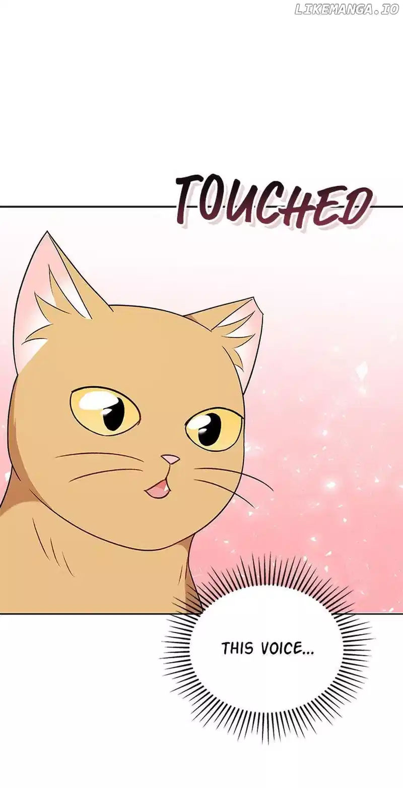 Hello! Veterinarian! Chapter 21 - Page 36