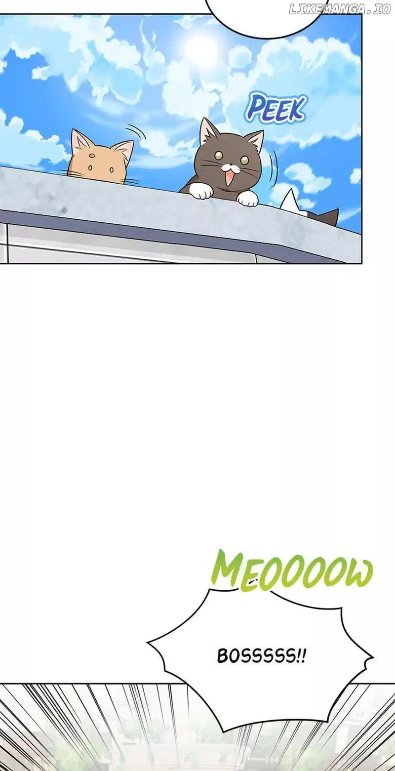 Hello! Veterinarian! Chapter 21 - Page 40