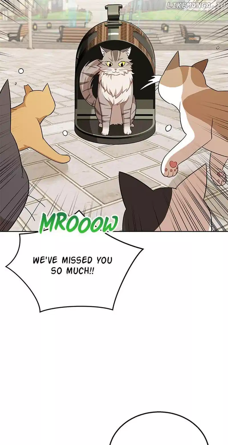 Hello! Veterinarian! Chapter 21 - Page 41