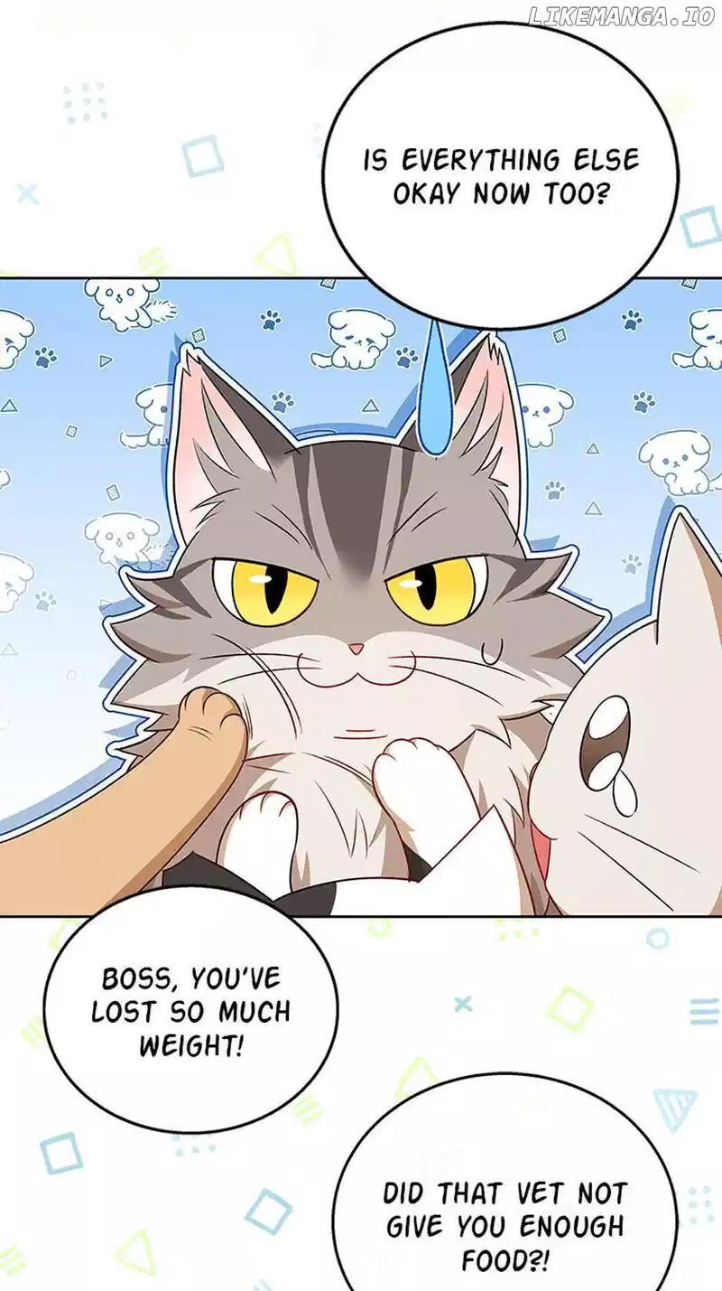 Hello! Veterinarian! Chapter 21 - Page 43