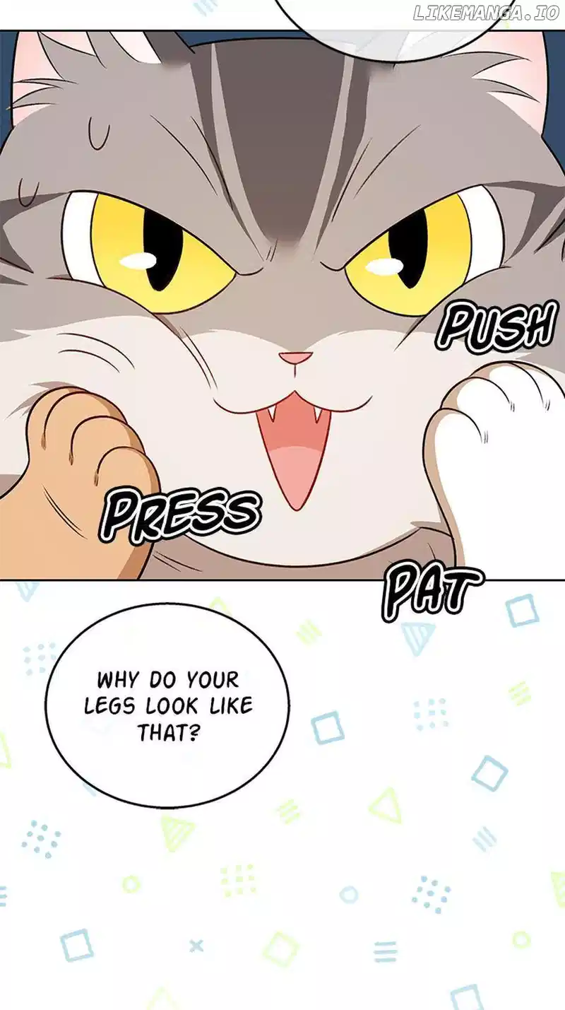 Hello! Veterinarian! Chapter 21 - Page 44