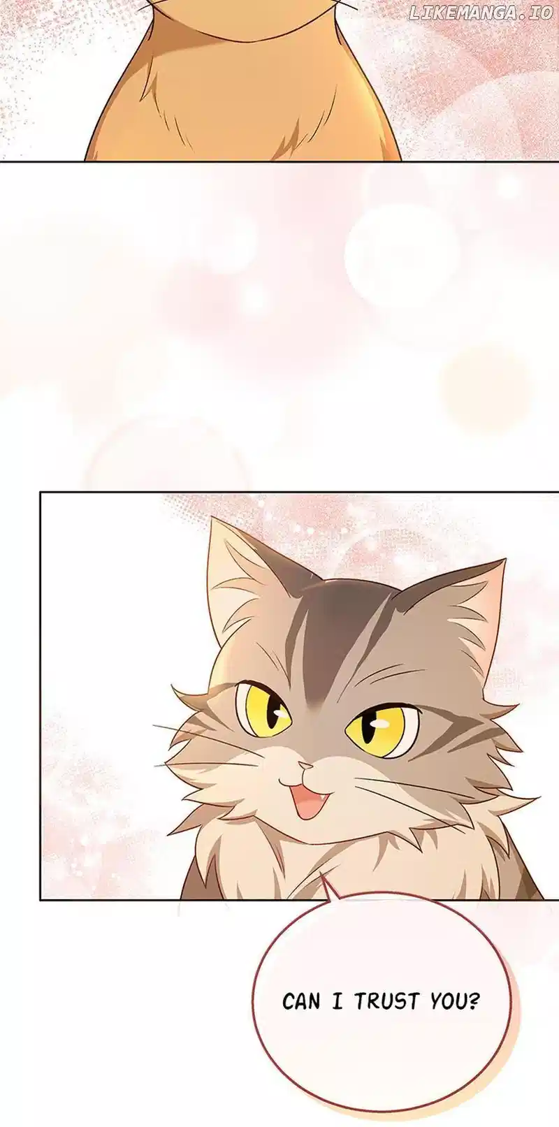Hello! Veterinarian! Chapter 21 - Page 70